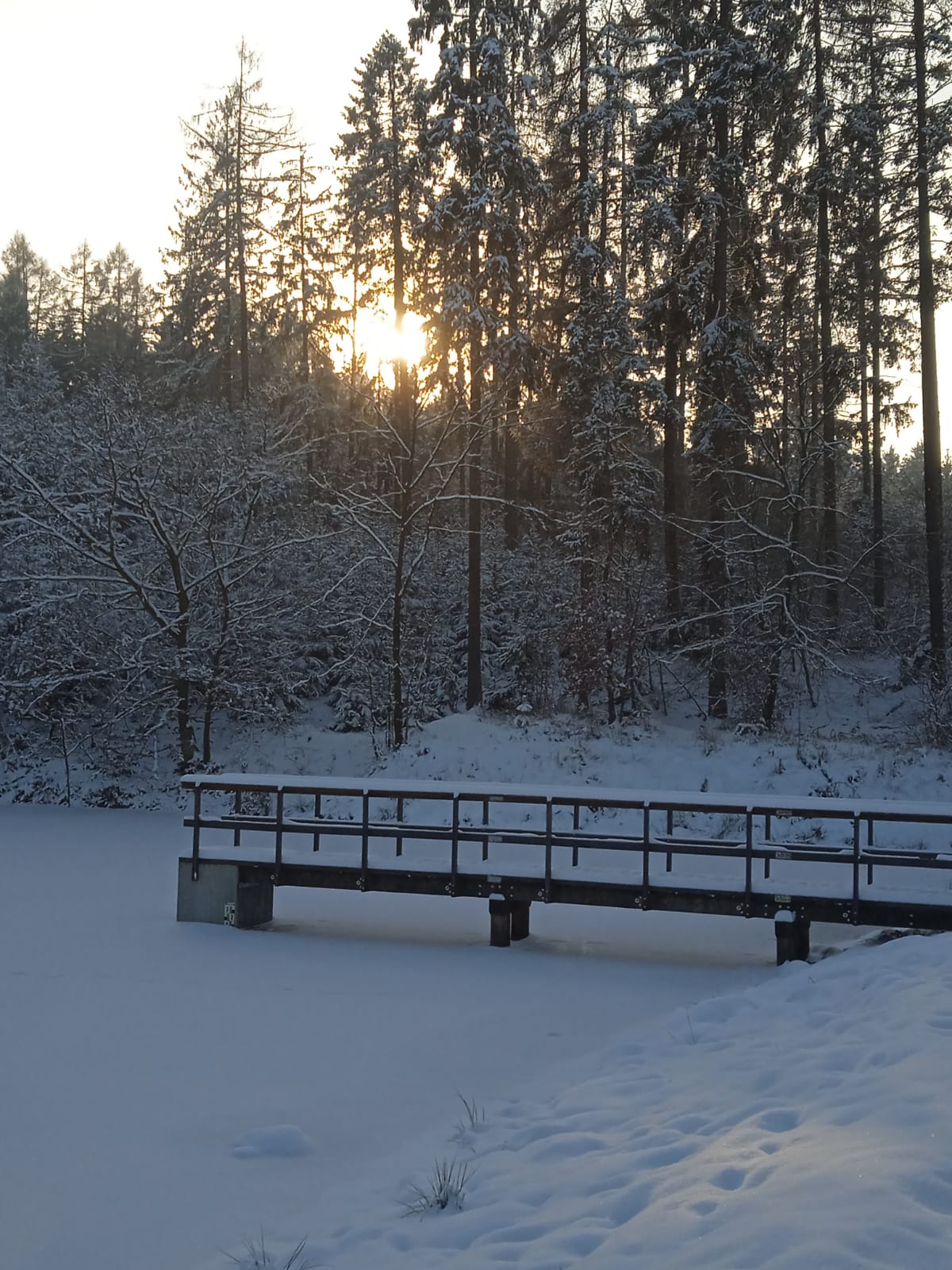 Rybník - pohled 2